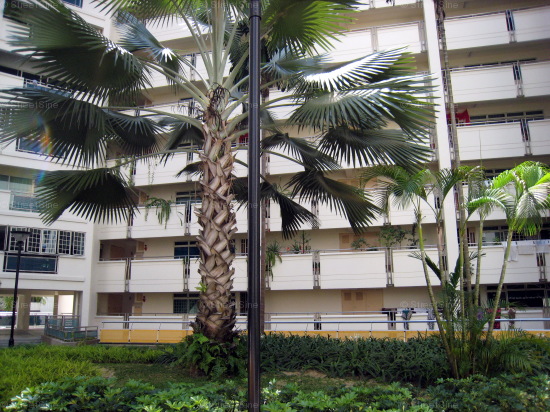 Blk 119B Rivervale Drive (Sengkang), HDB 5 Rooms #301922